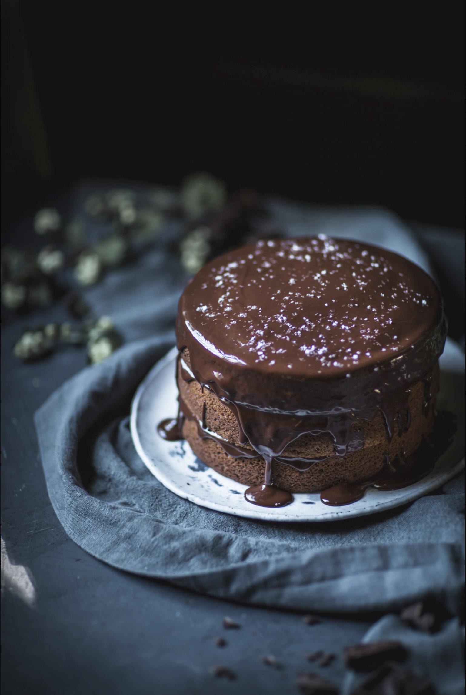 The Best Dark Moody and Rustic Food Photography Lightroom Presets