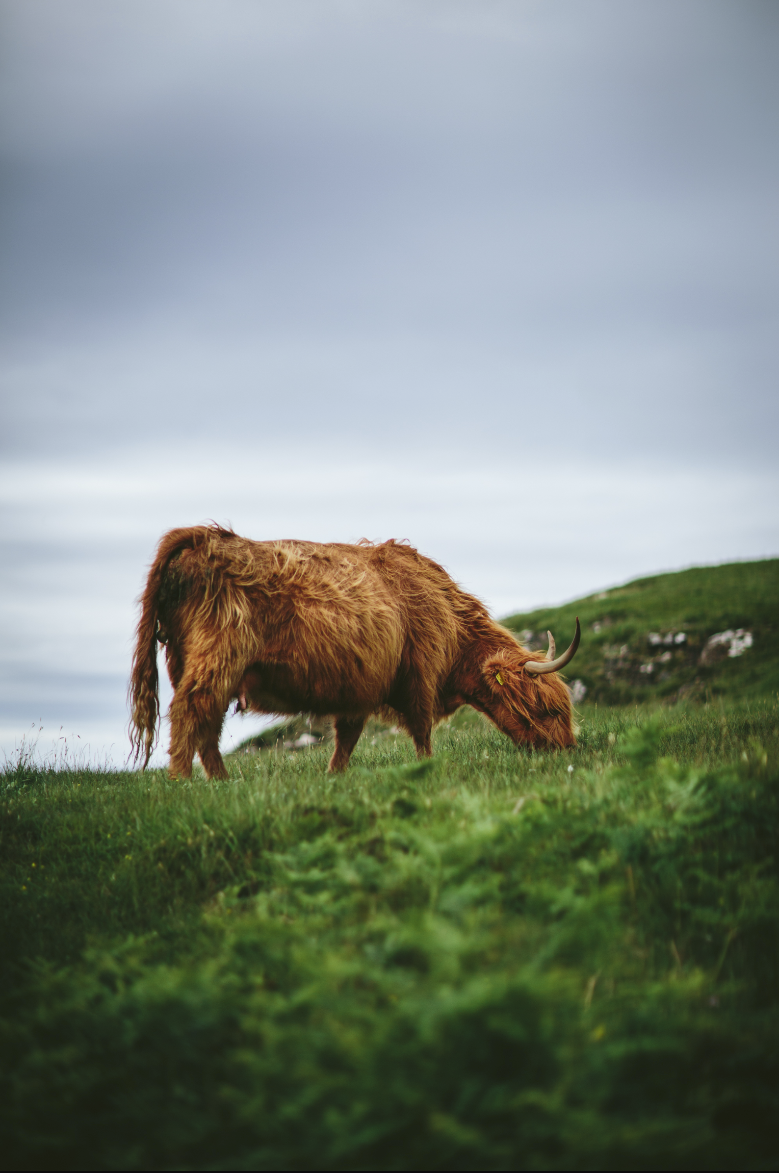 The Best Travel Photography Lightroom Presets