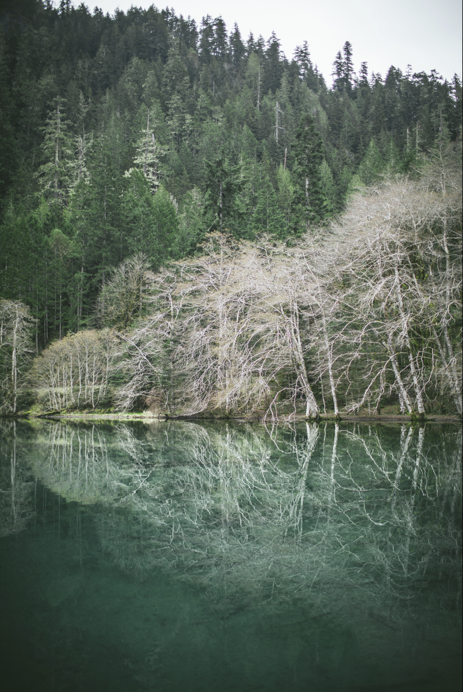 The Best Travel Photography Lightroom Presets