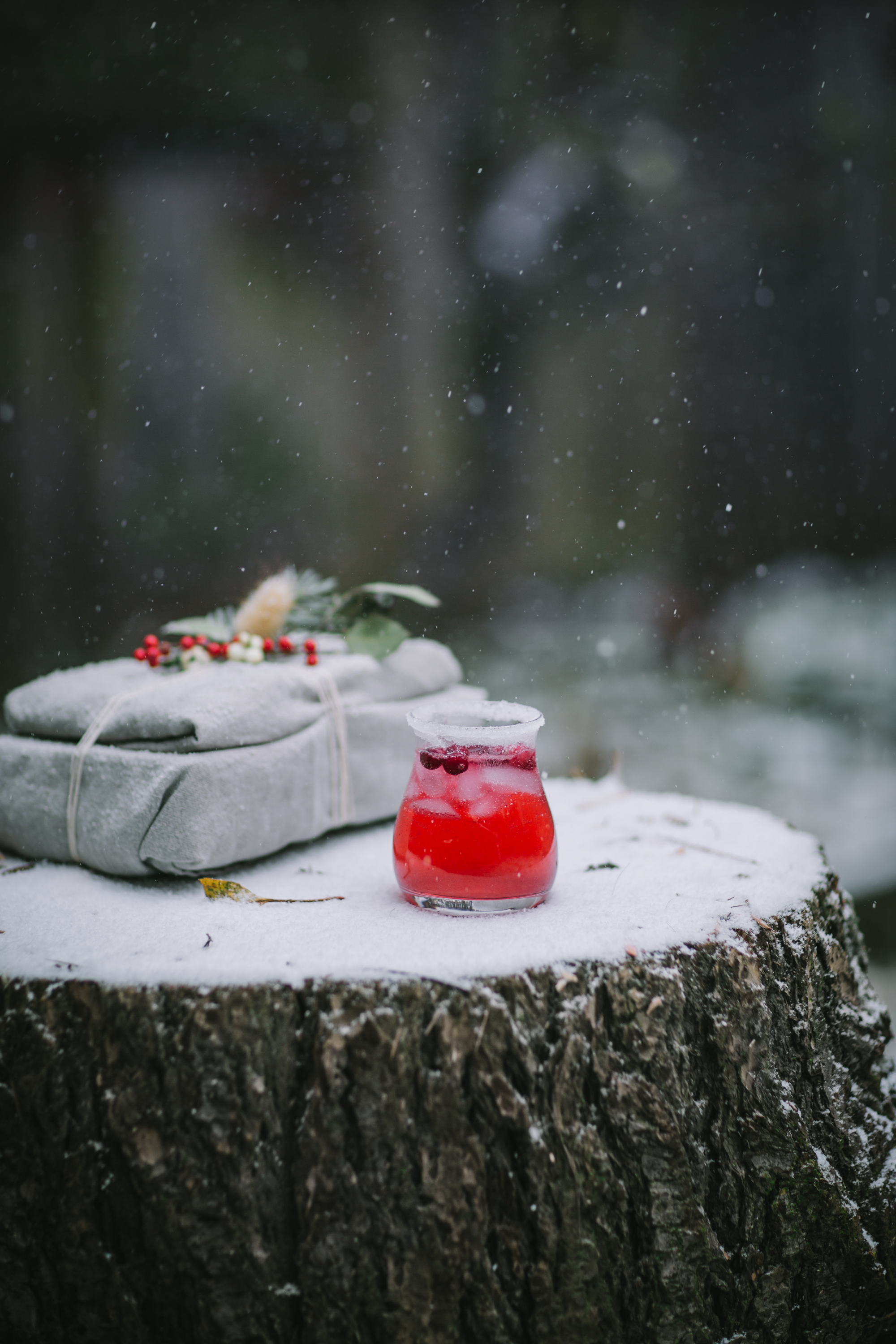 Lightroom Preset Festive-4.jpg