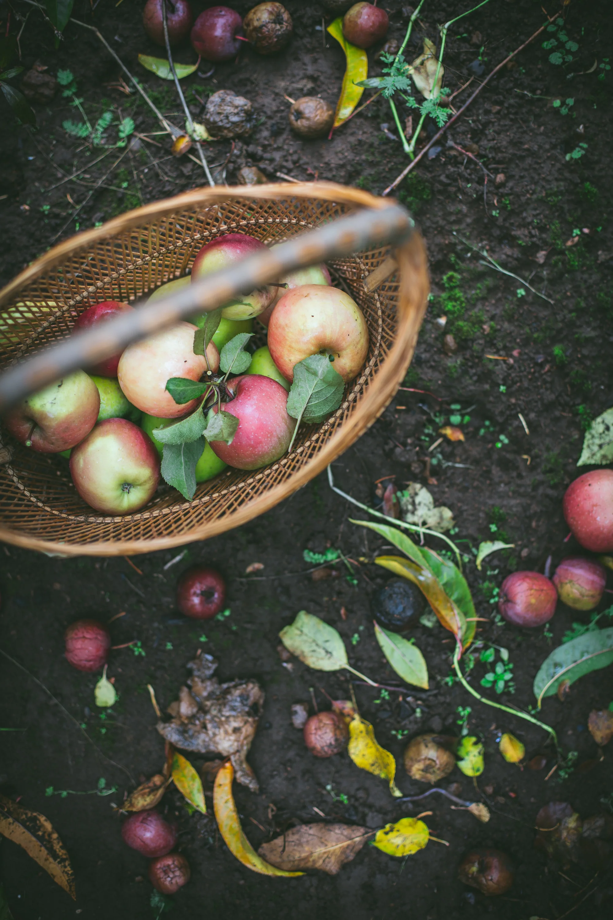 Lightroom Preset Festive-10.jpg