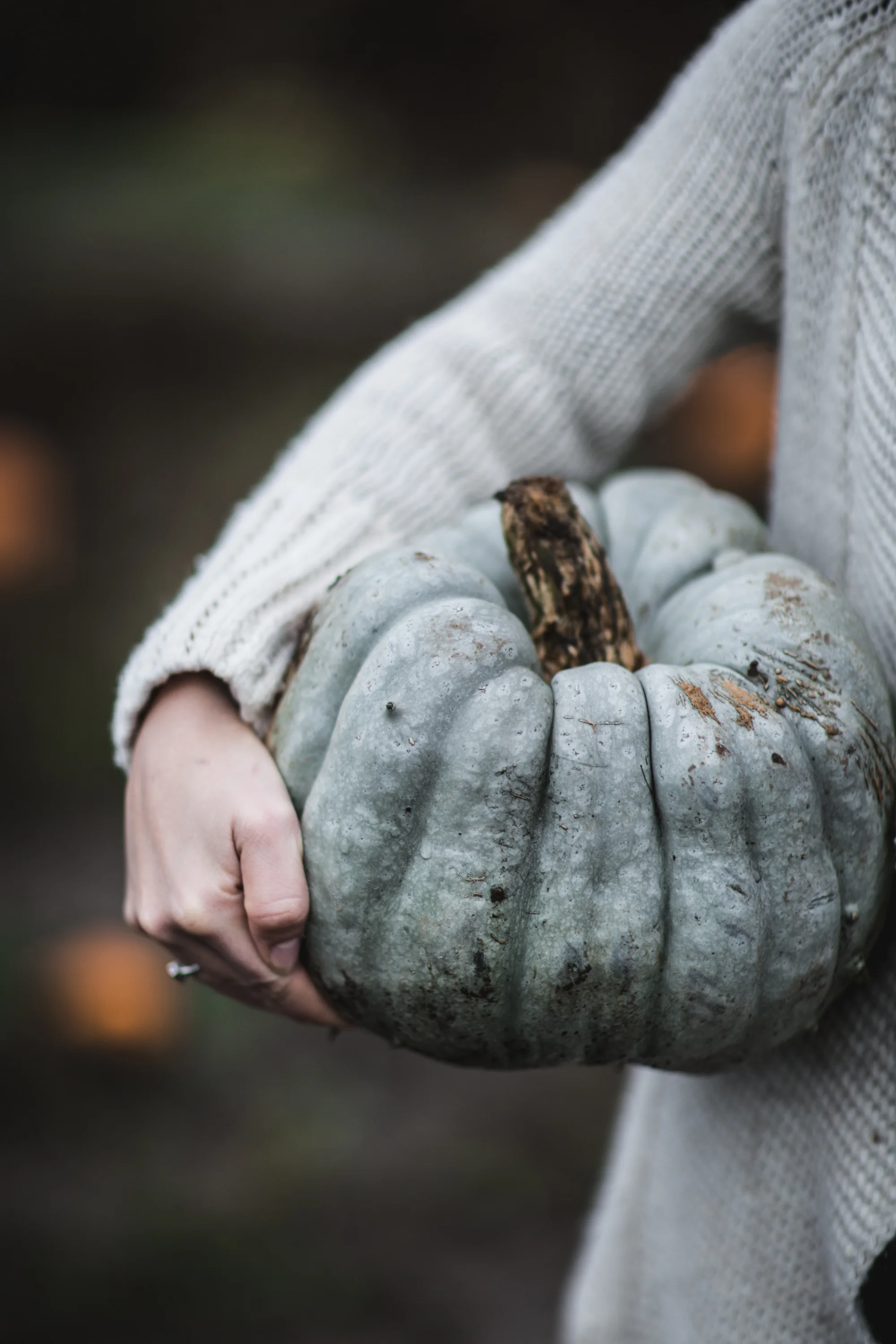 Lightroom Preset Festive-12.jpg