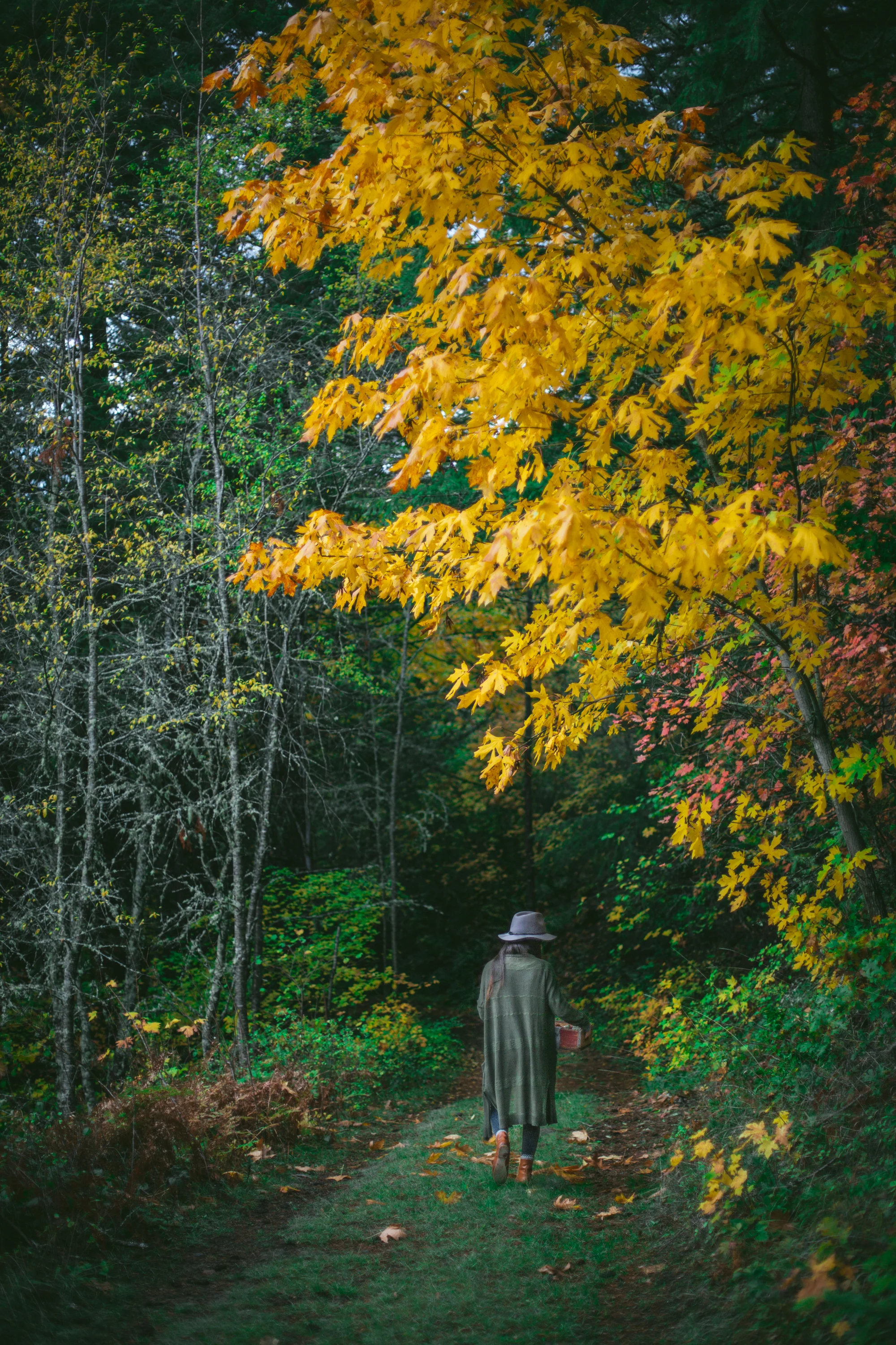 Lightroom Preset Festive-15.jpg