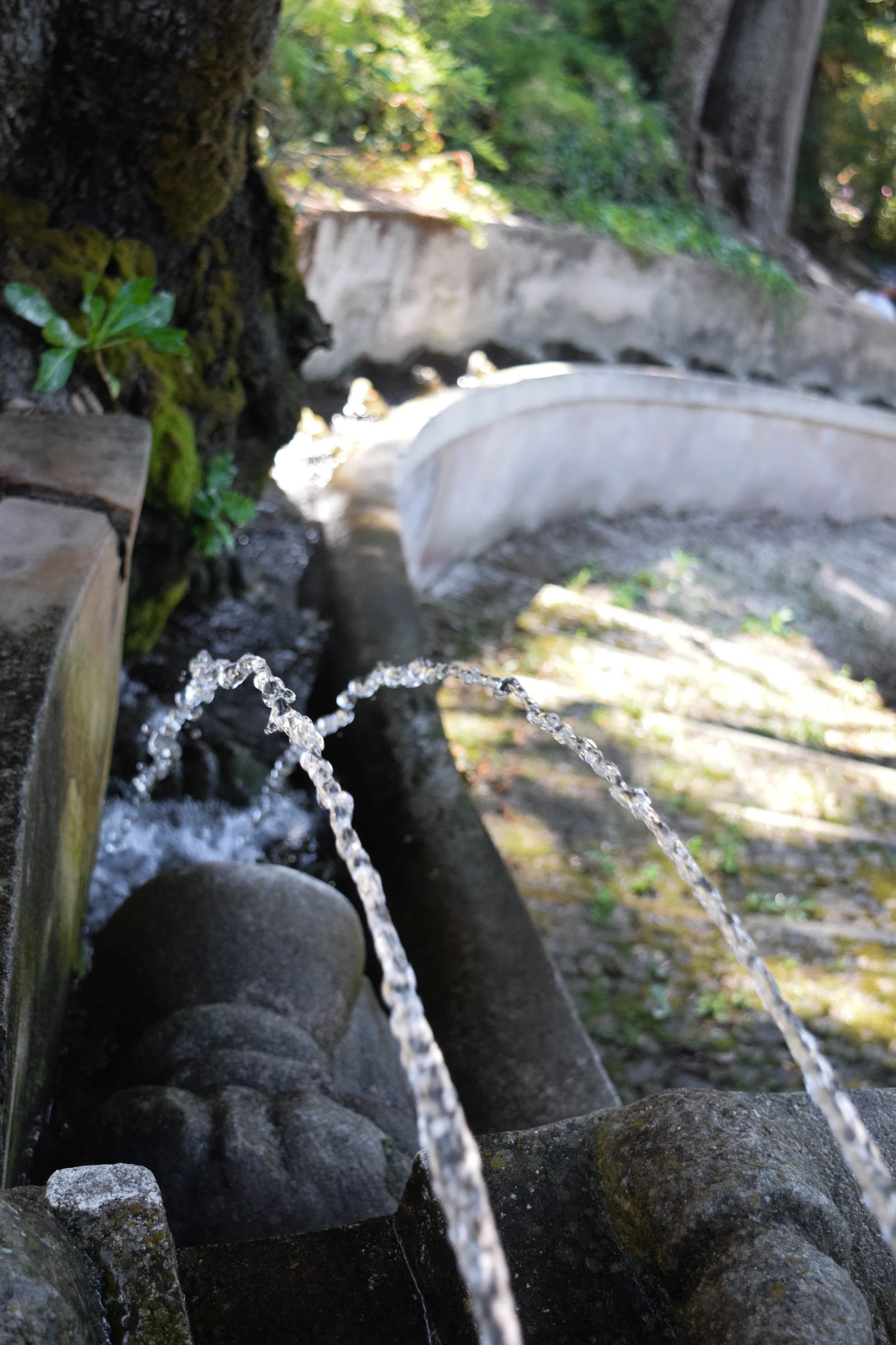 Fountains 2.jpg