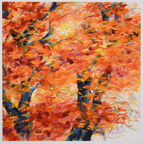 秋色梧桐 Fall Whisperings 