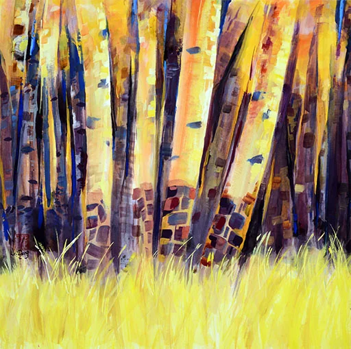 夕阳下的白桦 Twilight Birch 