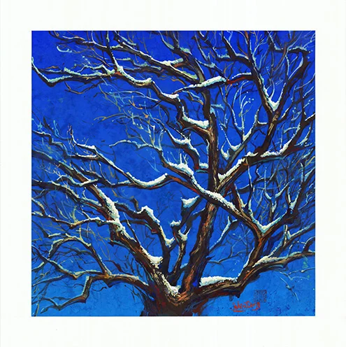 Revealed II 雪照.jpeg