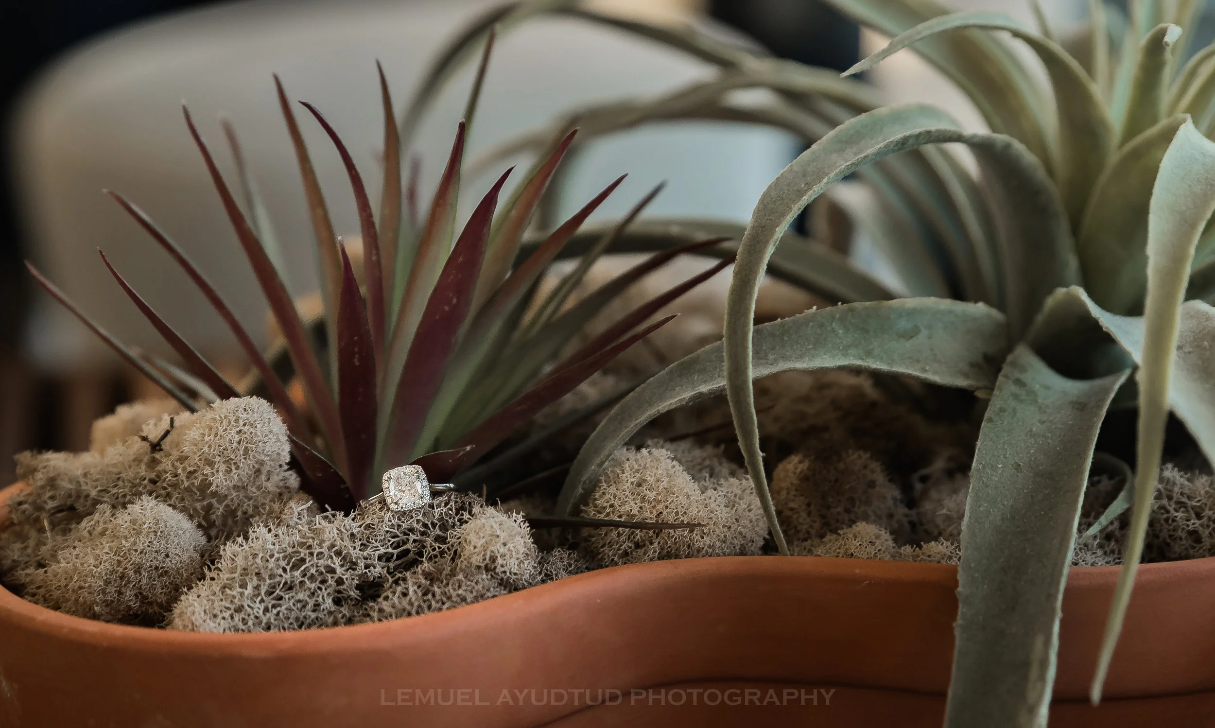 D&JENGAGEMENT-18.jpg