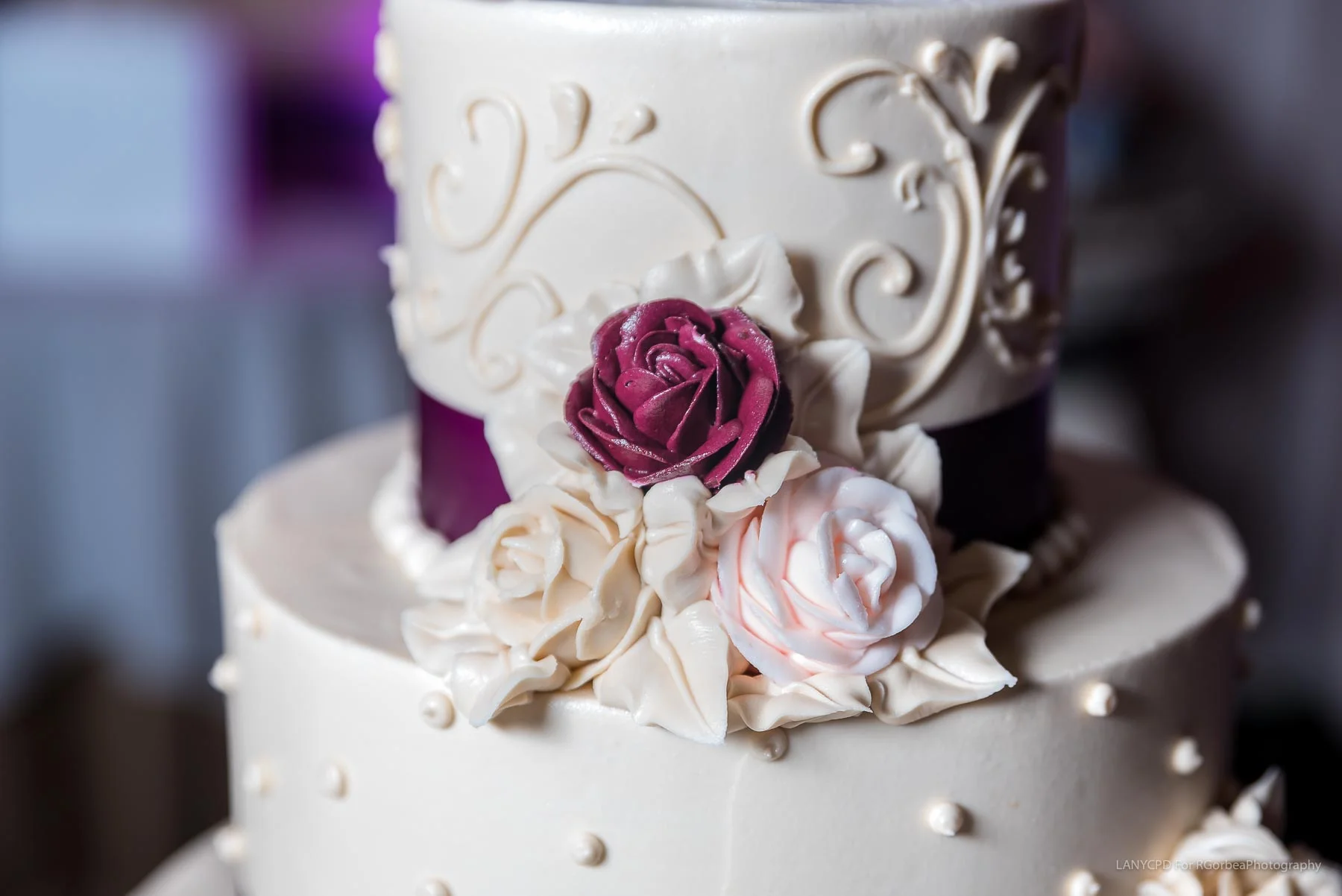 Carla&GusRGorbeaLANYCPhotography 00180.jpg
