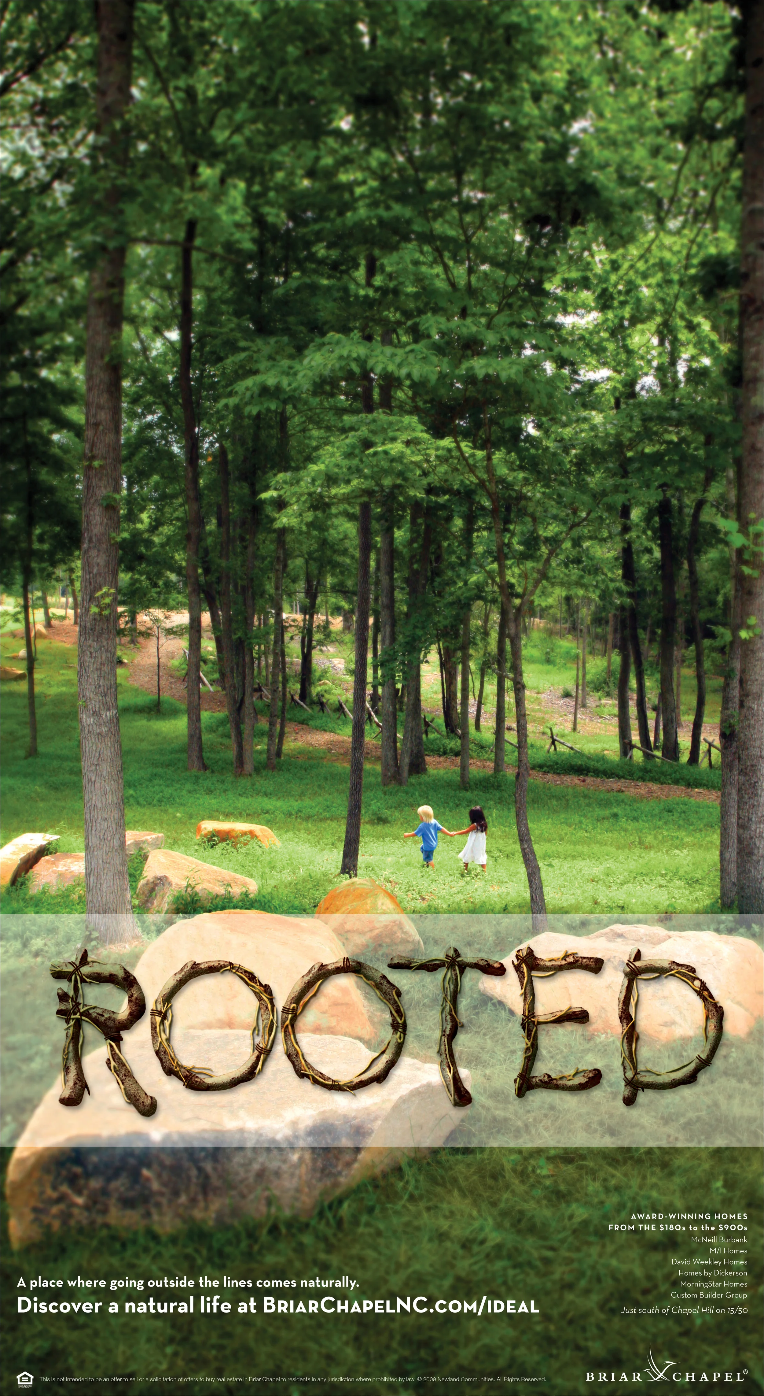 BC_Rooted.jpg