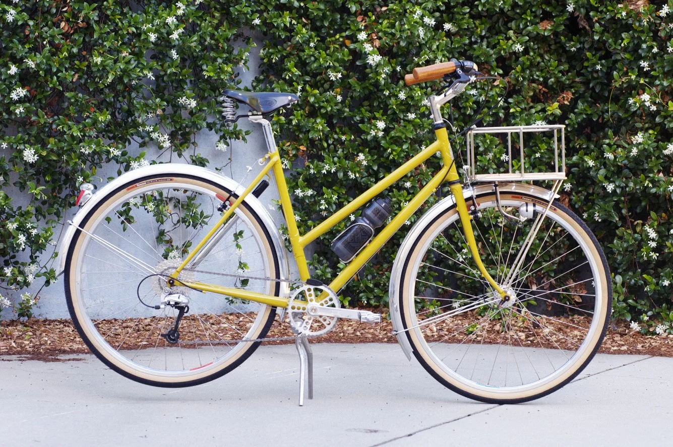 Carla's City Bike