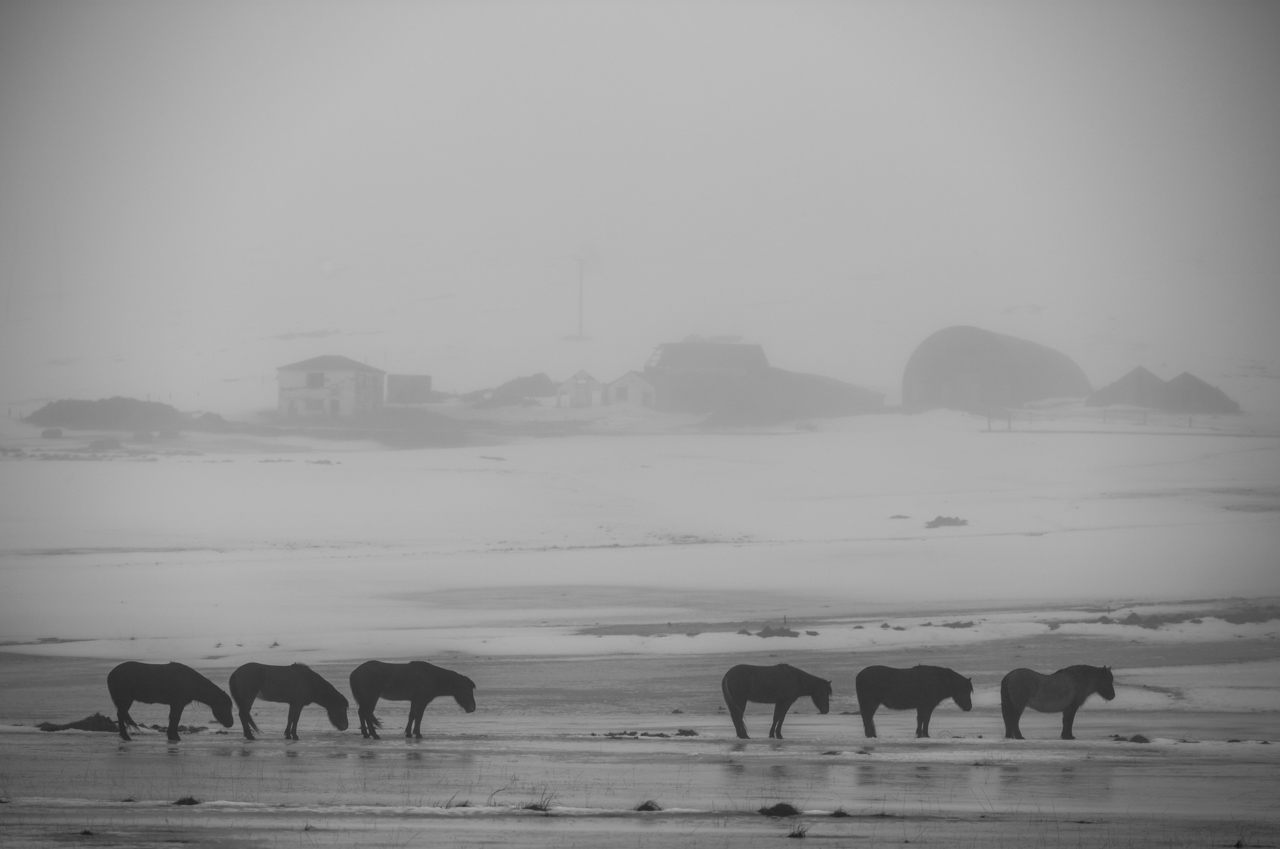 L1008872-Edit.jpg