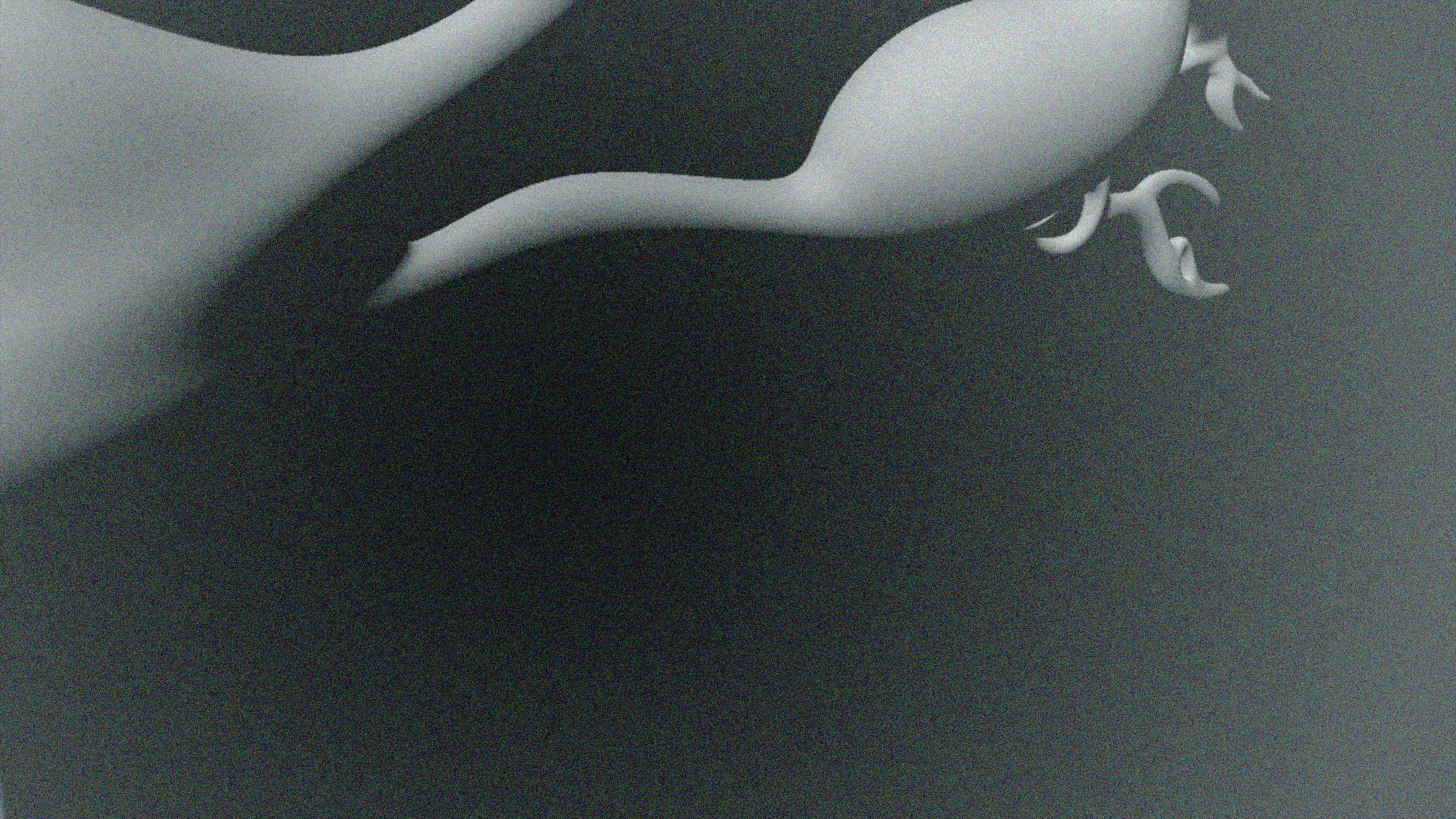 Core Systems: Studio