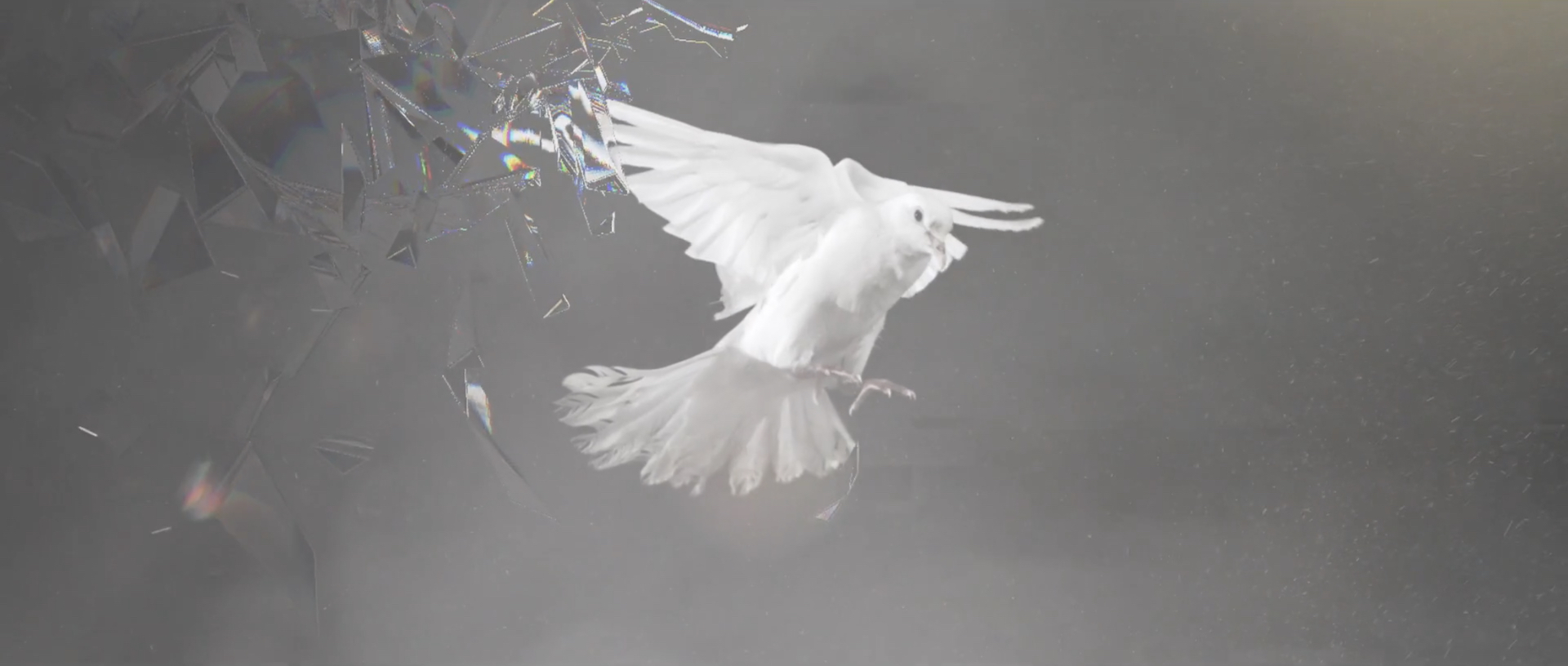 Screenshot 2016-12-17 02.20.46.jpeg