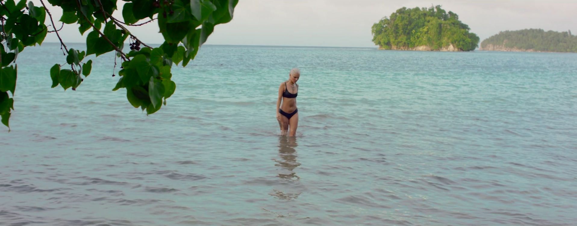 Screen Shot 2016-12-18 at 7.51.26 PM.png