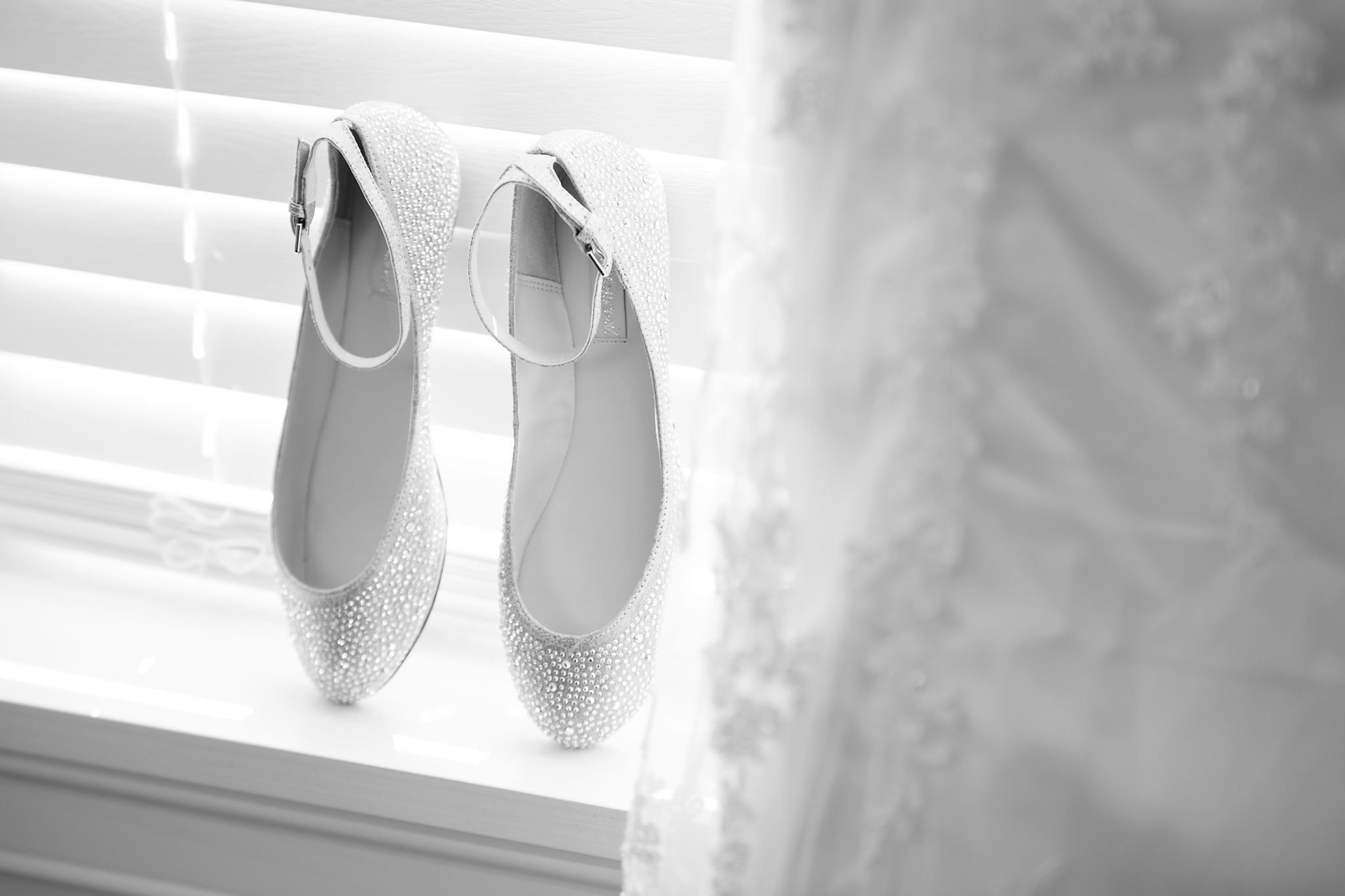IMG_9675-copy.png