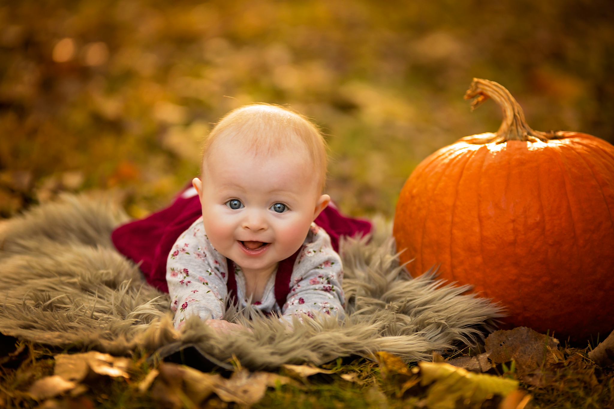 Ginny | 6 Months