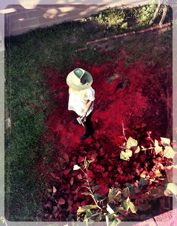 #5 THE RETURN OF THE HOLI POWDER