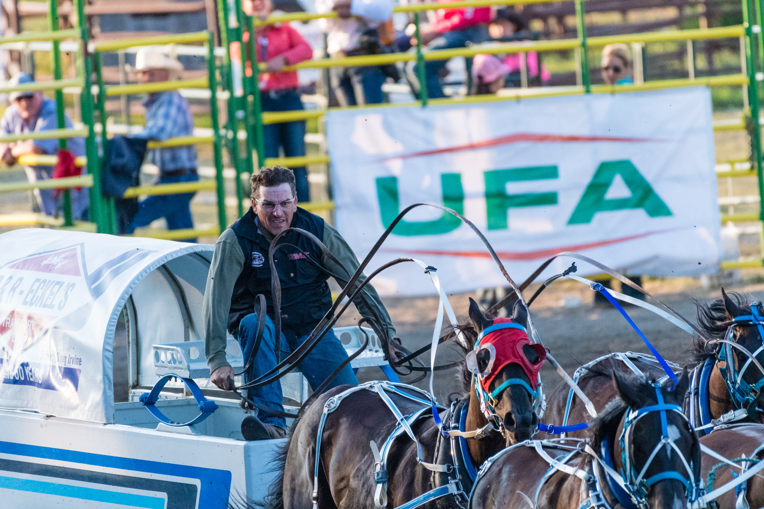 So here is how the race works. Each team has a wagon driven by 4 horses, there are also 2 outriders (single blokes with a horse). At the start of the race, the outriders "break camp" by throwing a camping stove into the back of the wagon. The wagon then has to negotiate a figure of 8 around their barrels and then it is a straight dash around the circuit with the first wagon crossing the finishing line wins.