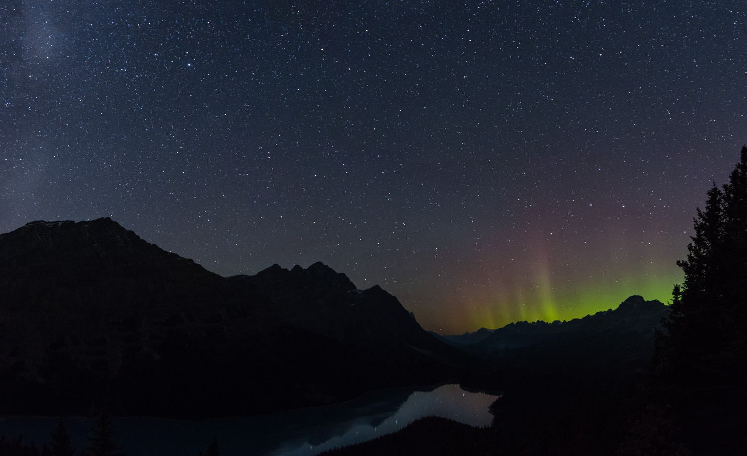 The northern lights over Peyto Lake. We were just a bit too far south to see the really strong northern lights. Only occasionally did they come this far south.