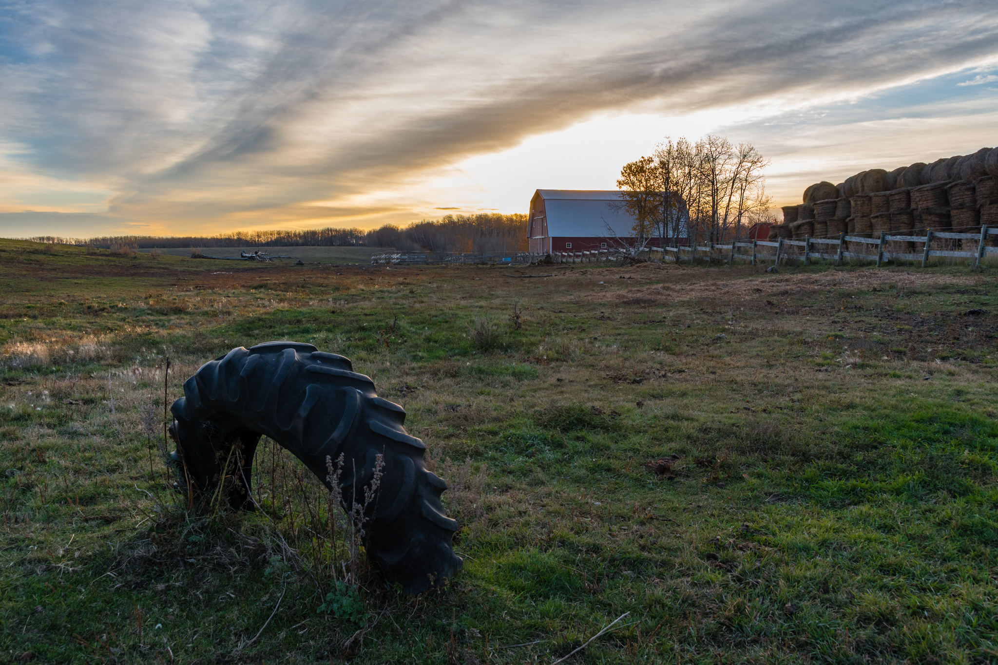 I have always been a city person, but I can appricate the farm life.