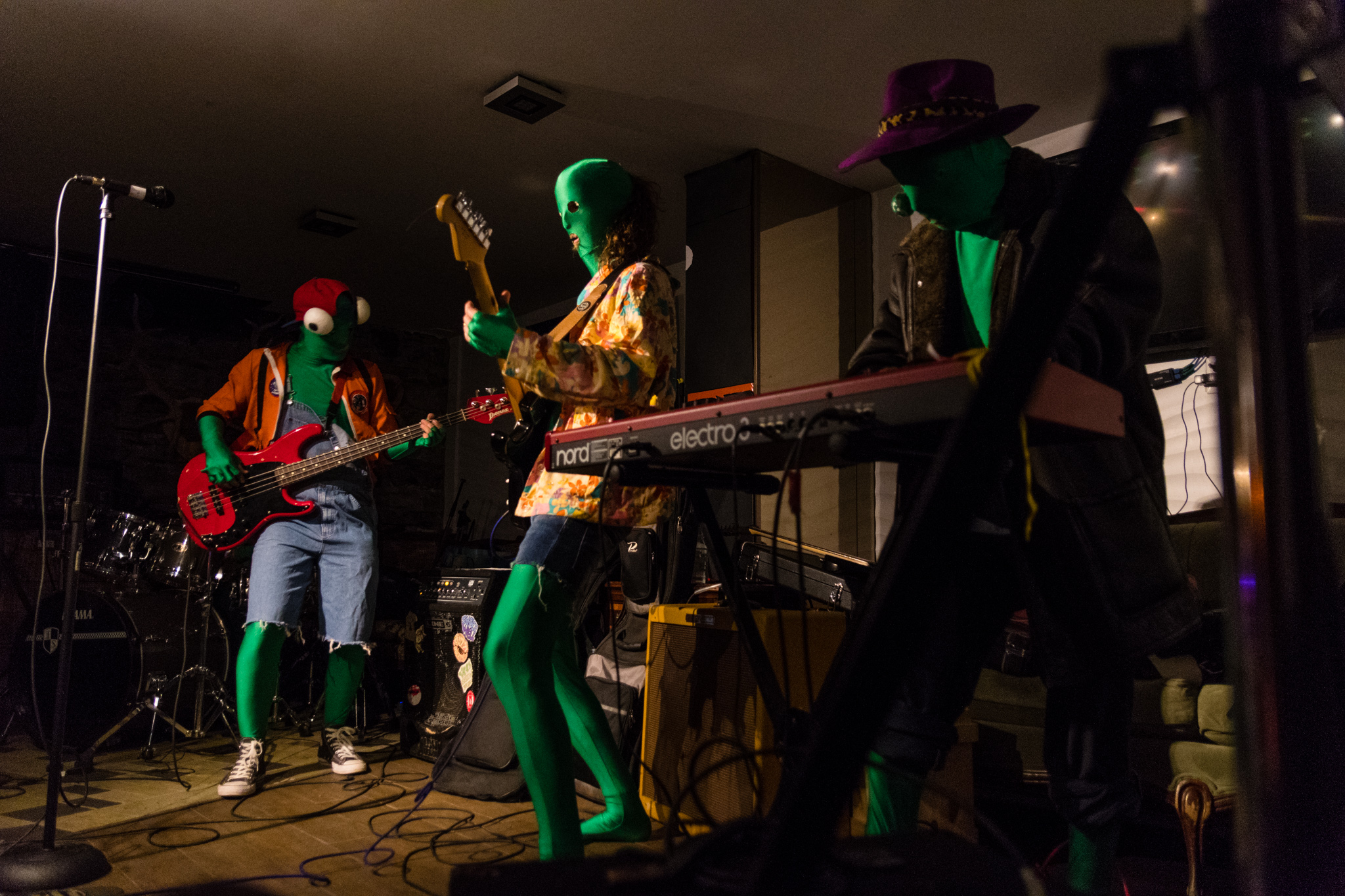 First band I photographed, Friendly Frog Freakshow. They were indeed very friendly.