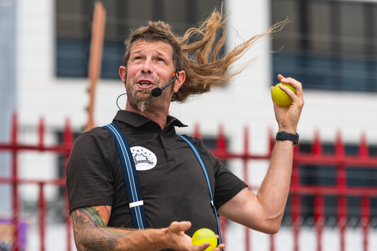  Mullet in full flight. 