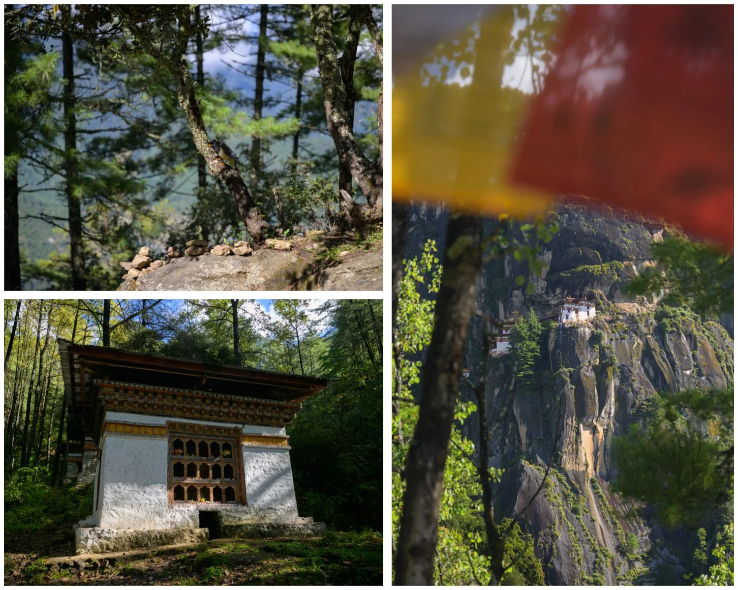  Tiger’s Nest would also occasionally make an appearance along the trail, peeking through various openings and clearings in the tree lines.&nbsp; 