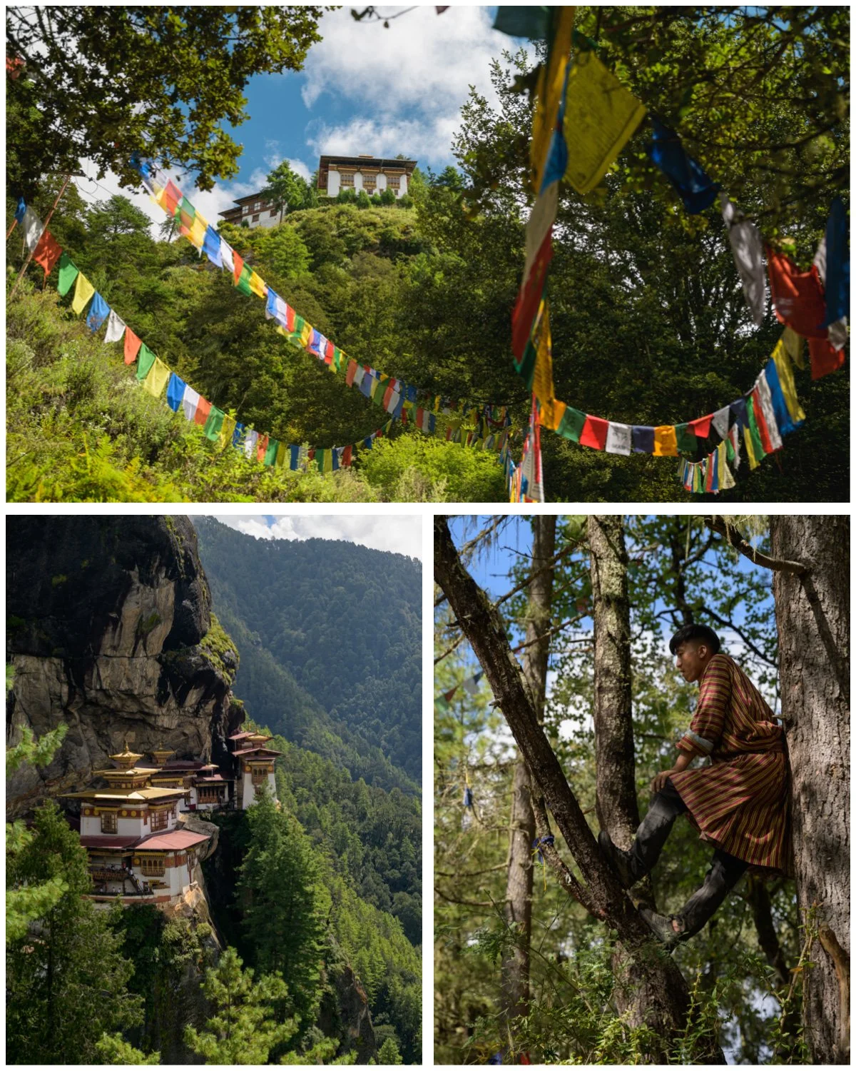  There were so many prayer flags that I saw a few local guides in the process of removing some. 