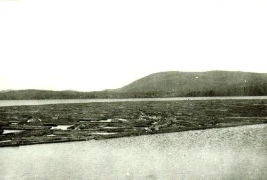 logs and spec mountain.jpg