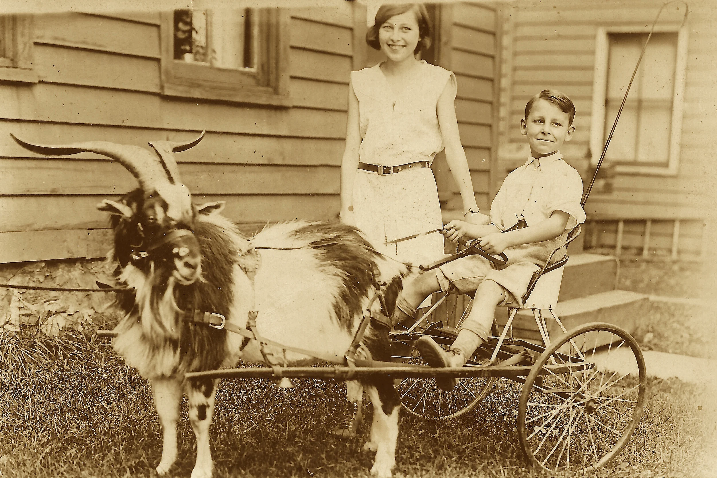 GoatAndKids.jpg