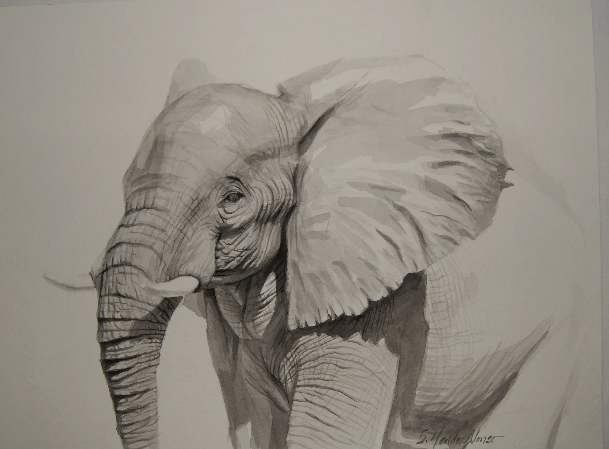 December 2014 680a.jpg