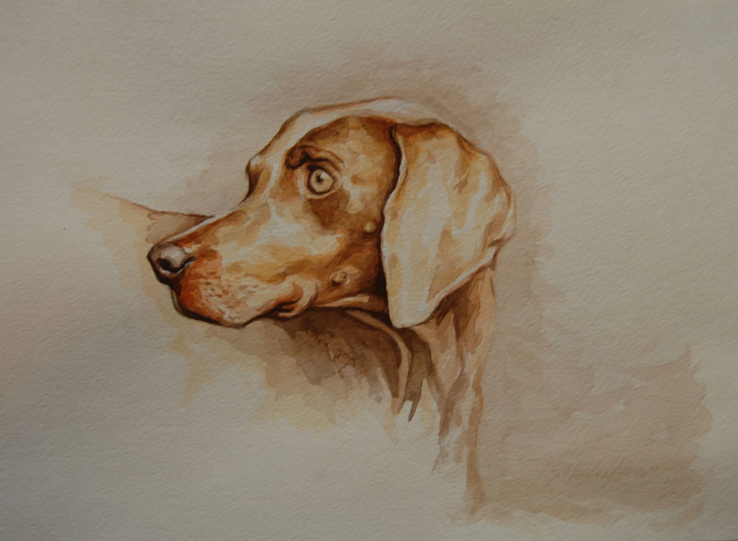 December 2014 676a.jpg