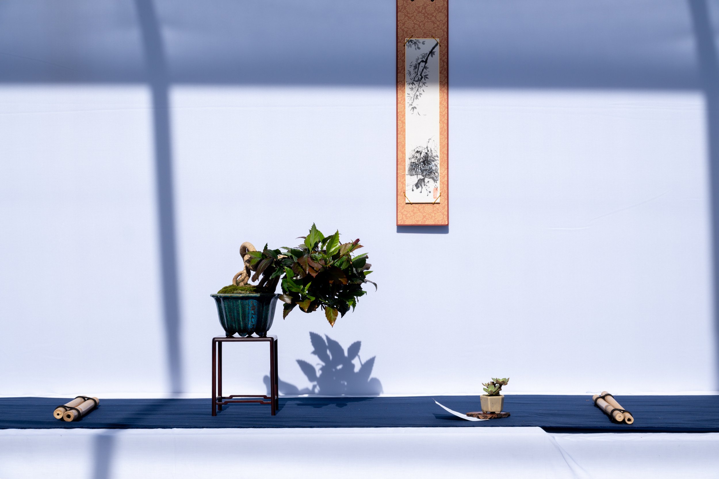 DSCF4708.jpg