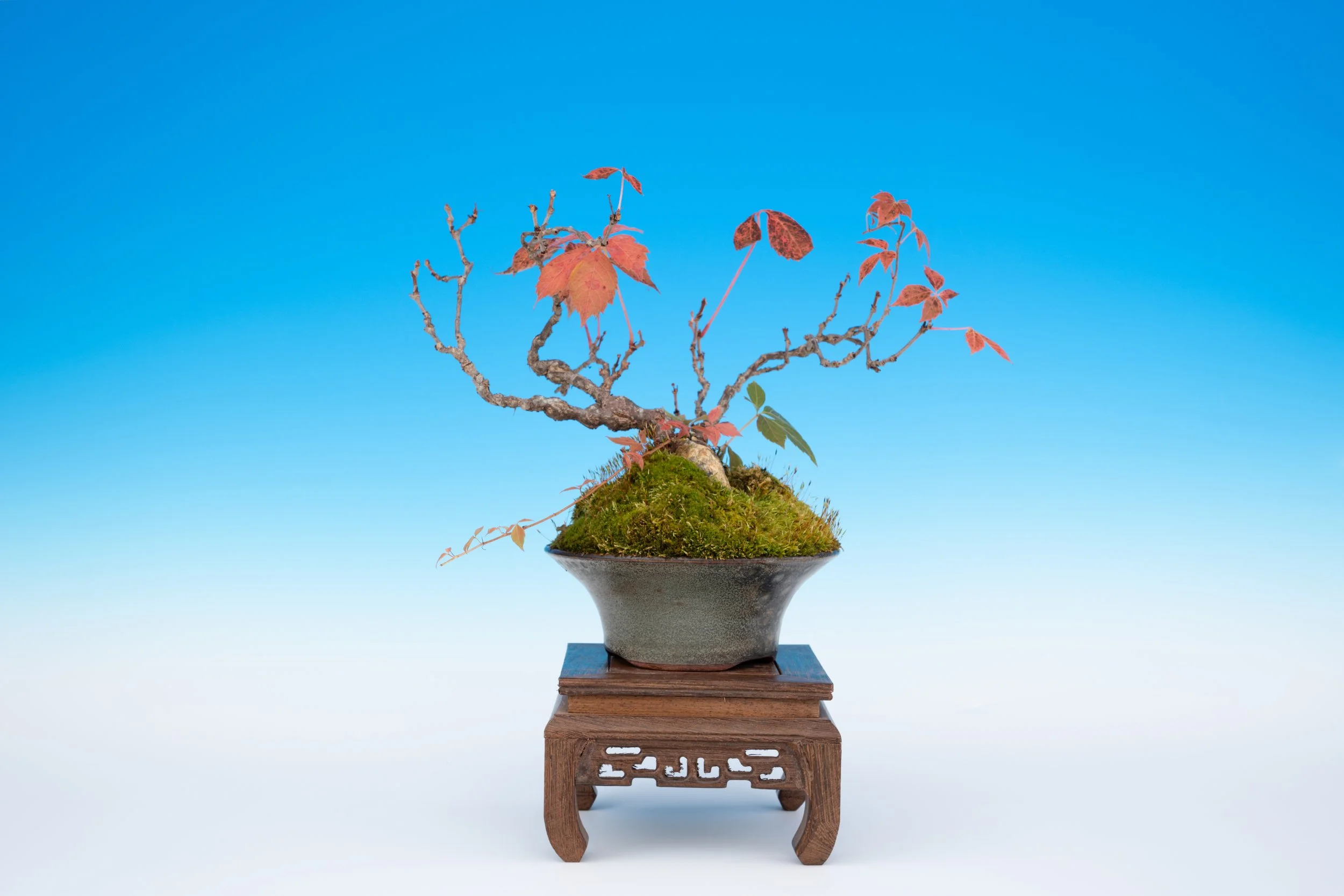 DSCF4660.jpg