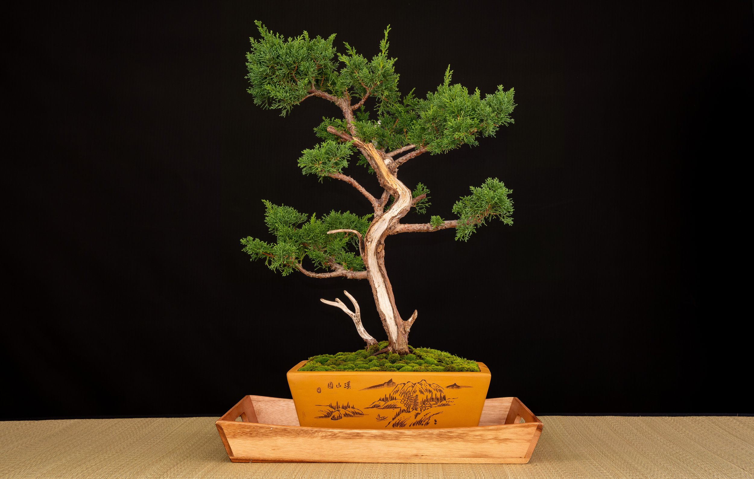 DSCF4619.jpg