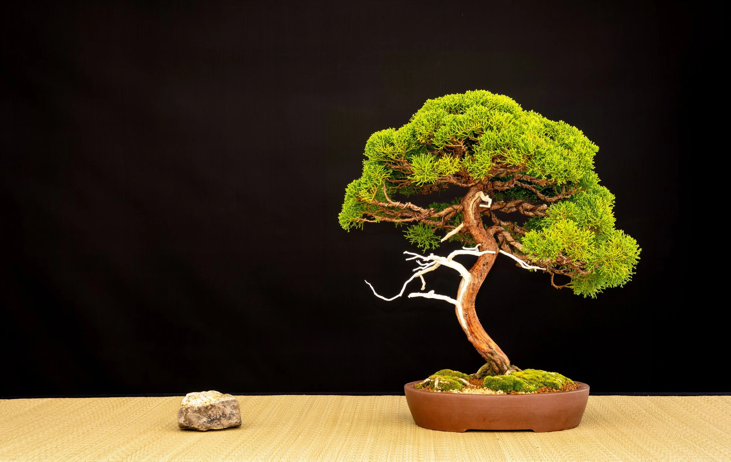 DSCF4634.jpg