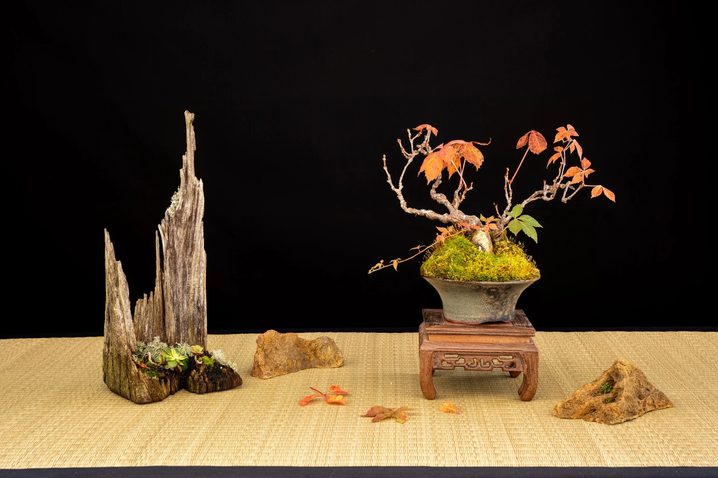 DSCF4616.jpg