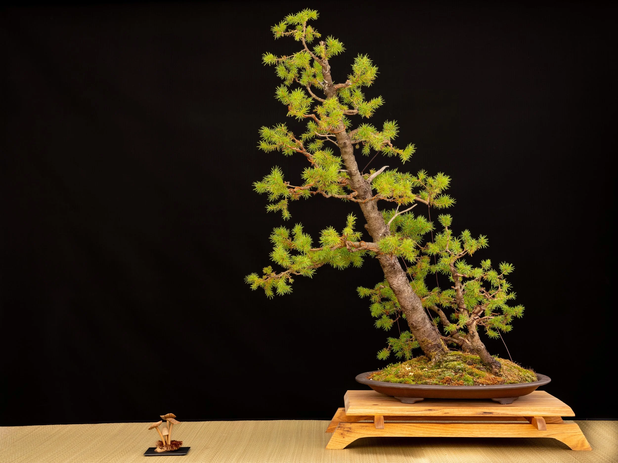 DSCF4627.jpg