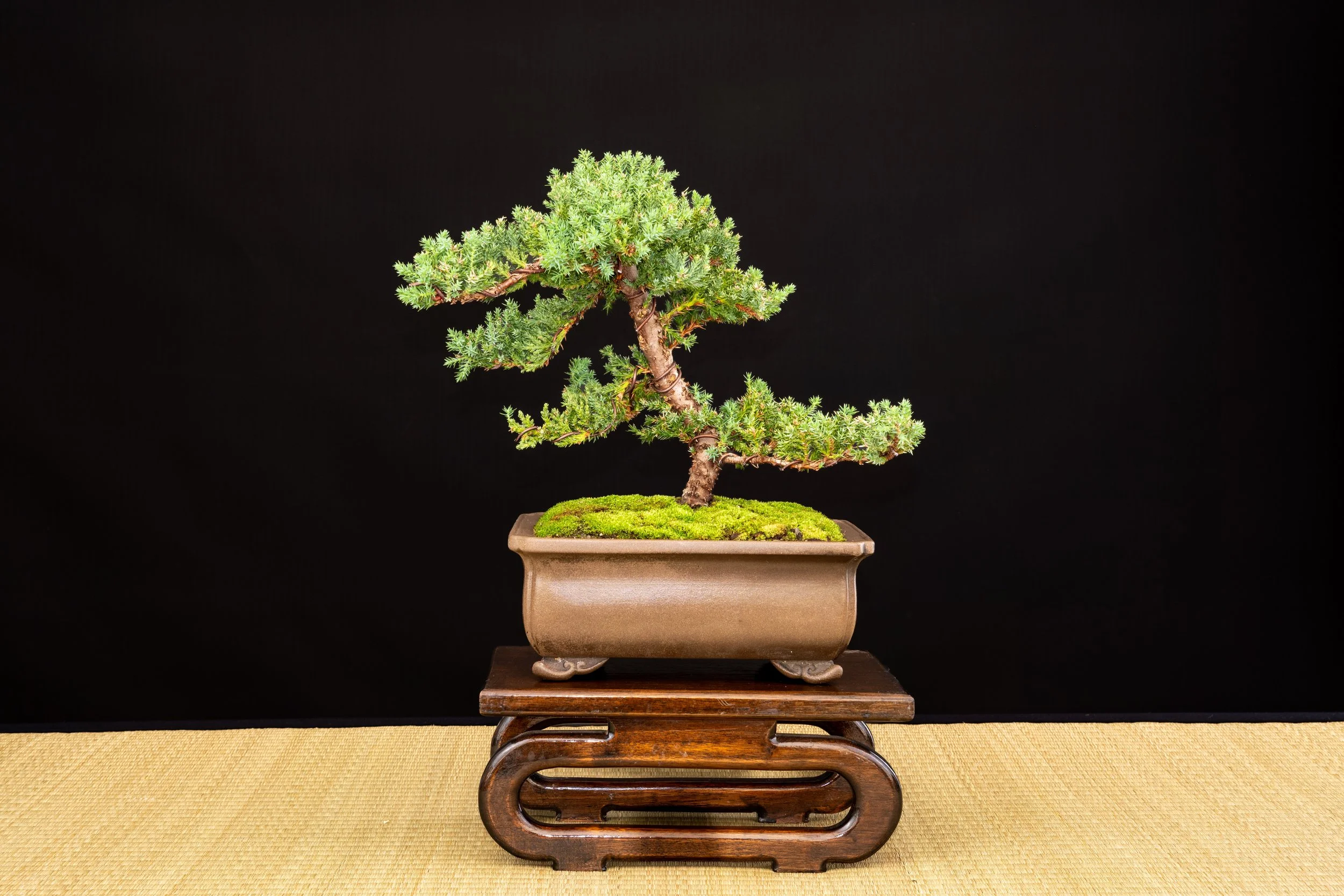 DSCF4639.jpg