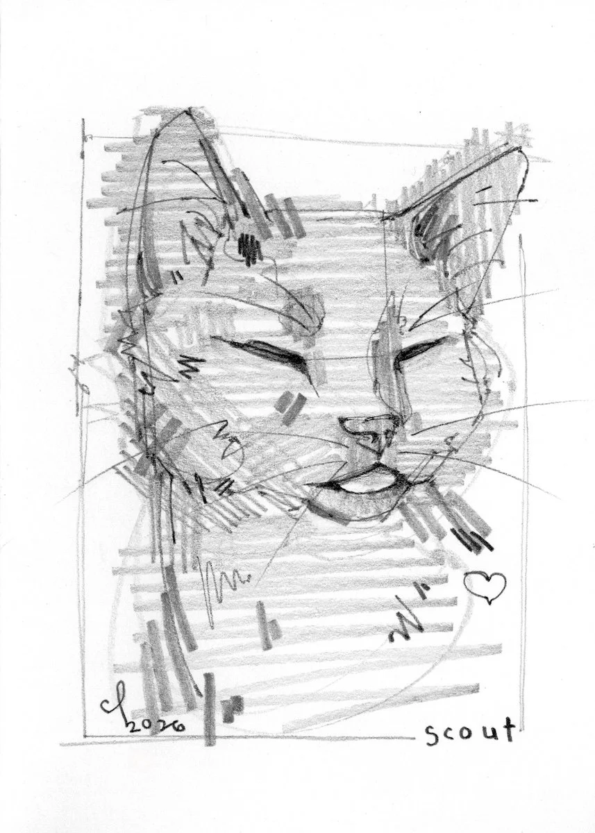 scout_feb2026.jpeg