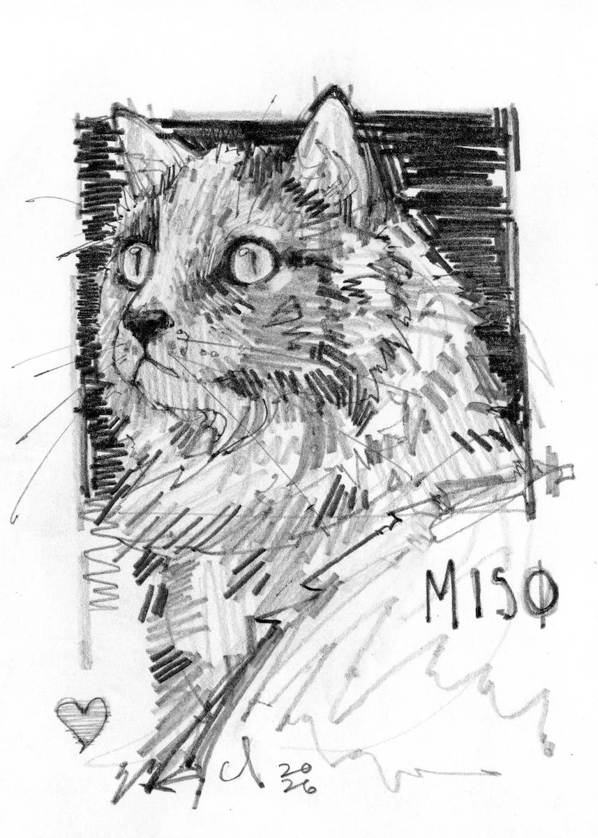 miso_feb2026.jpeg