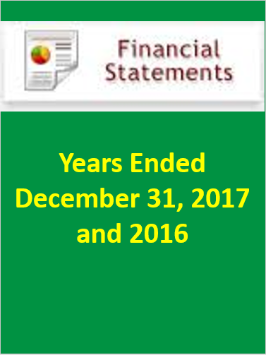 financial statement 2017.PNG