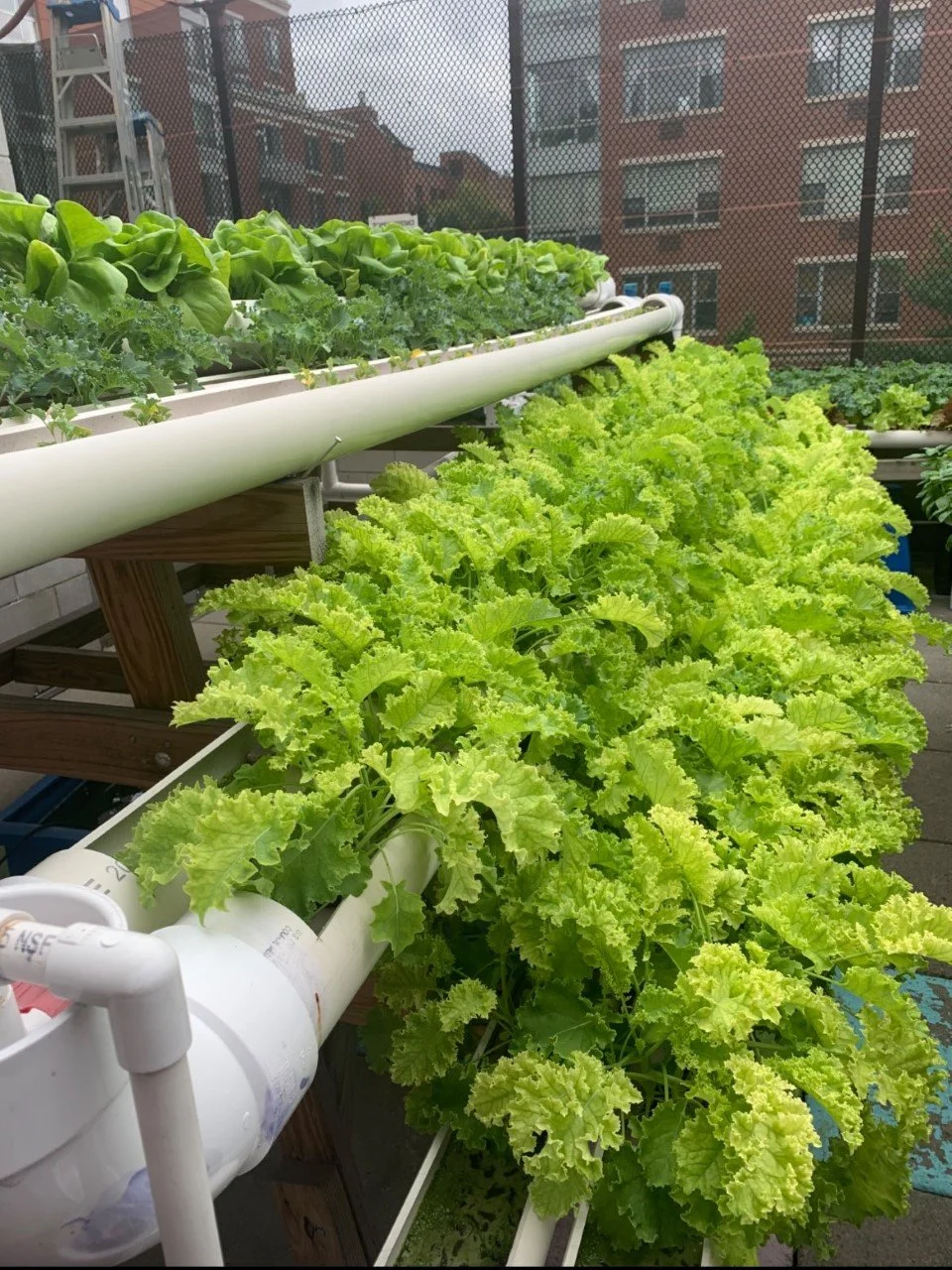 Thank you to our partners