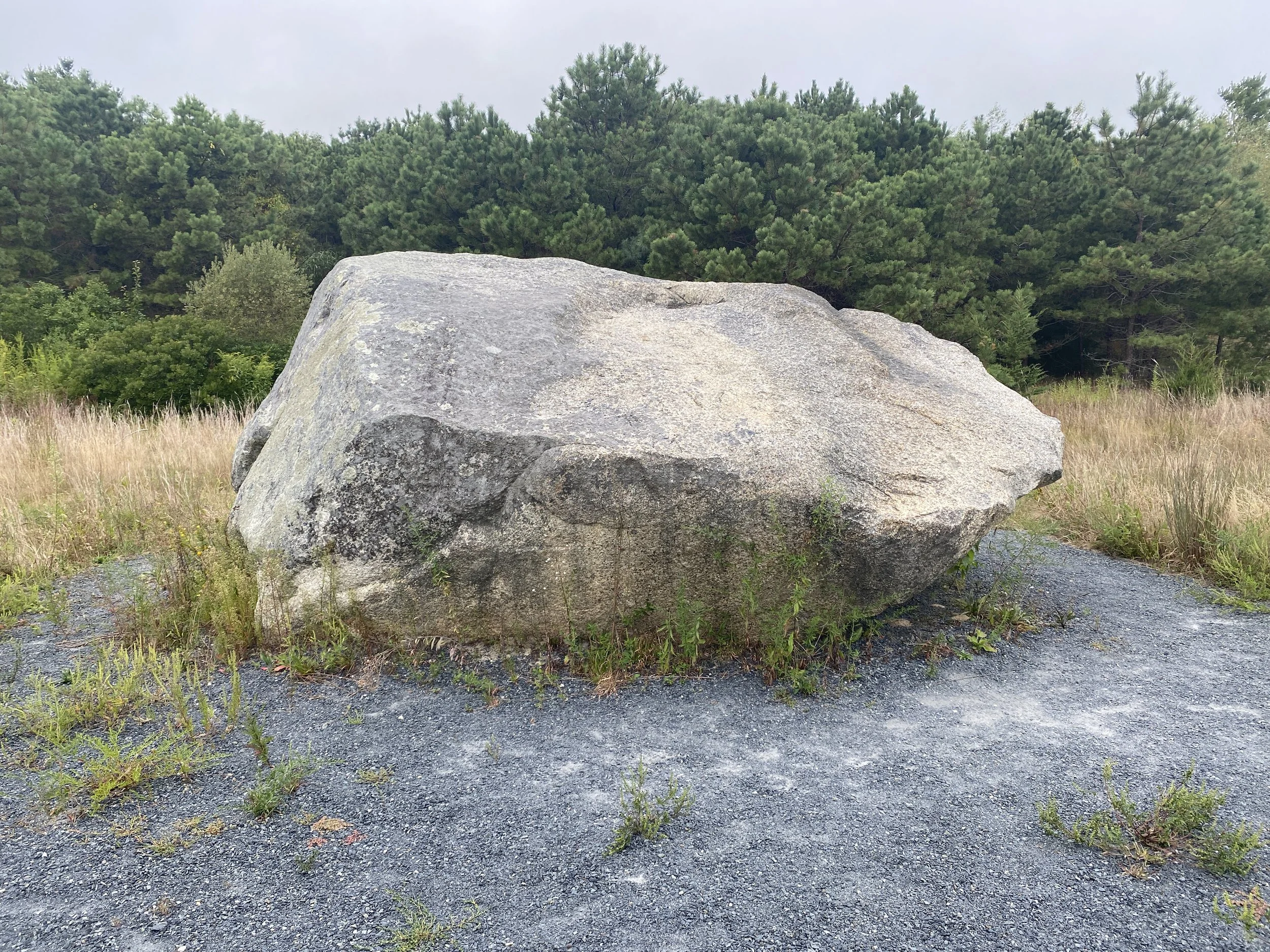 Irratic rock at Tidmarsh Sept. 2025