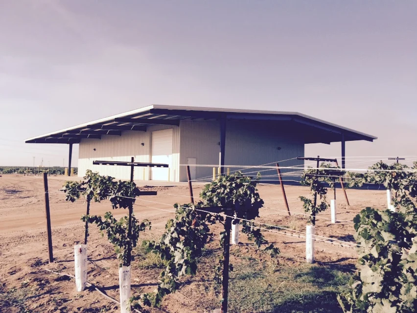 Gilbert Vineyards