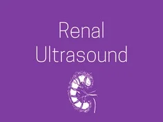 renal.jpg