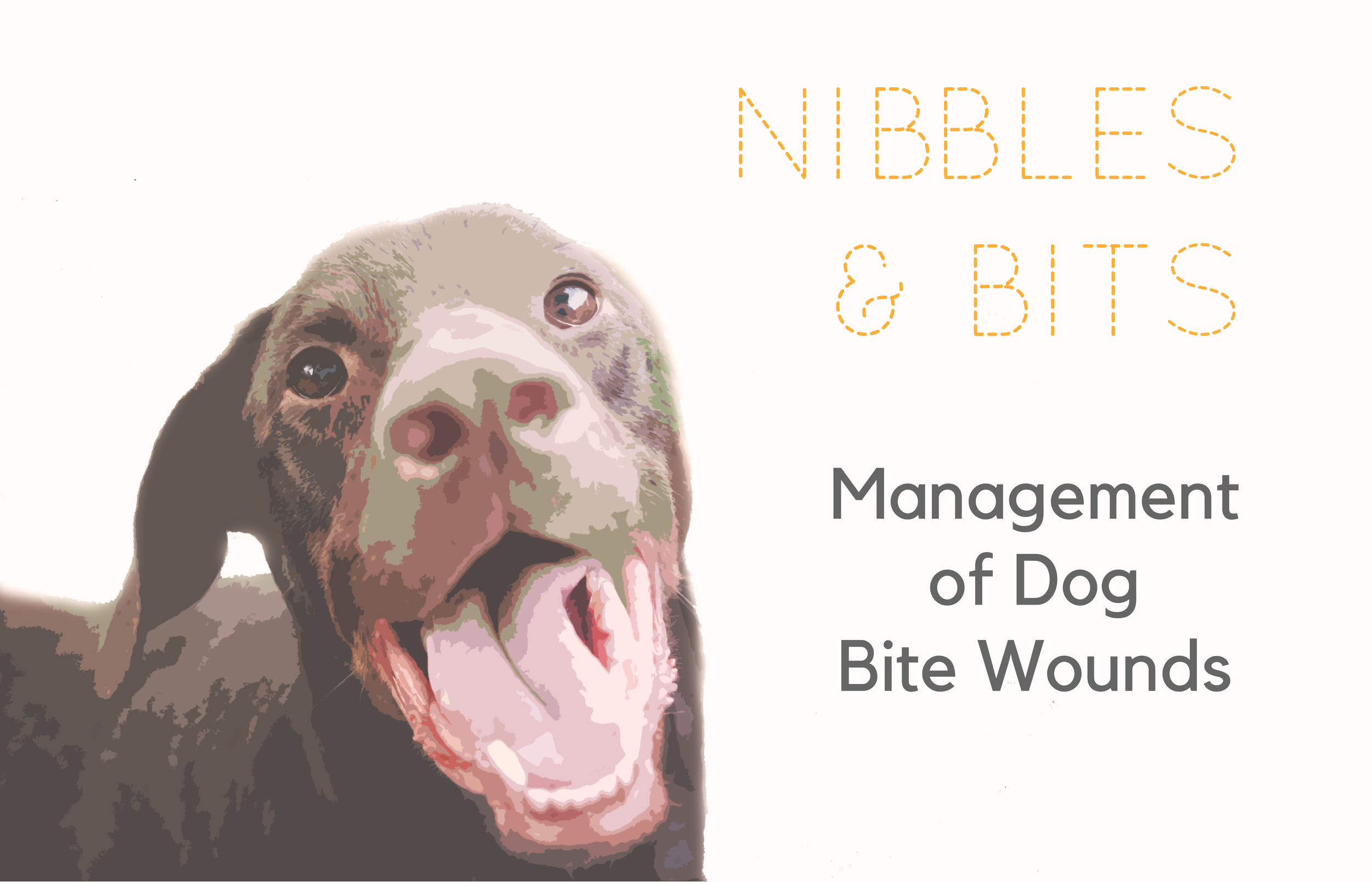 Nibbles and Bits: Management of Dog Bite Wounds — NUEM Blog