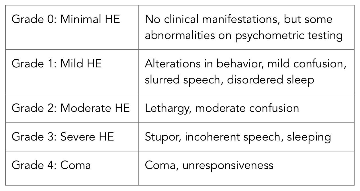 Hepatic Encephalopathy In The Ed Nuem Blog