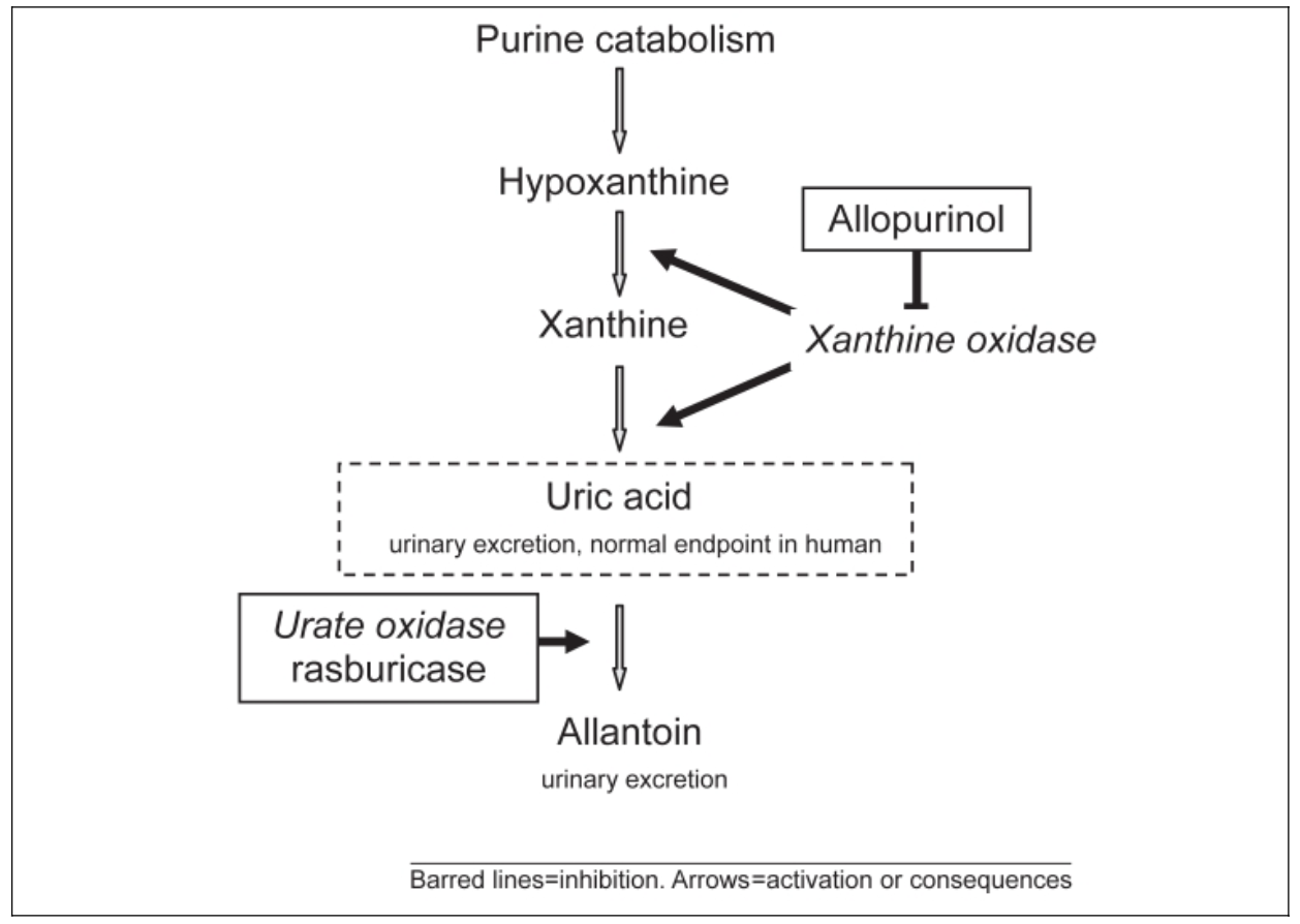 Figure 2 (8)